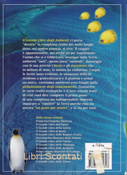 100311 Il grande libro degli ambienti - Giorgio P. Panini