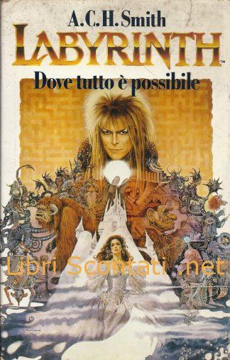 Labyrinth. Dove tutto è possibile - A.C.H. Smith. Libro Euroclub