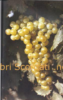 Rivista L'Etichetta. Guida alla vita materiale secondo Luigi Veronelli. Rivista Trimestrale, Primavera 1987. Anno 5 Numero 1.